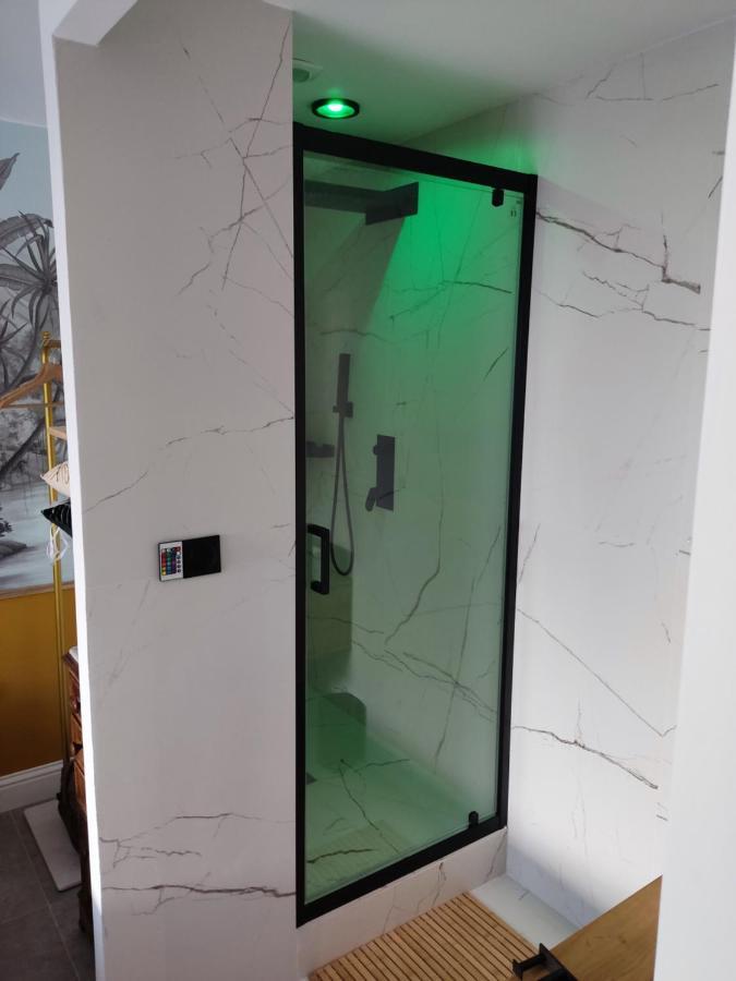 Superbe appartement avec jacuzzi avec jardin privé Lyon Extérieur photo