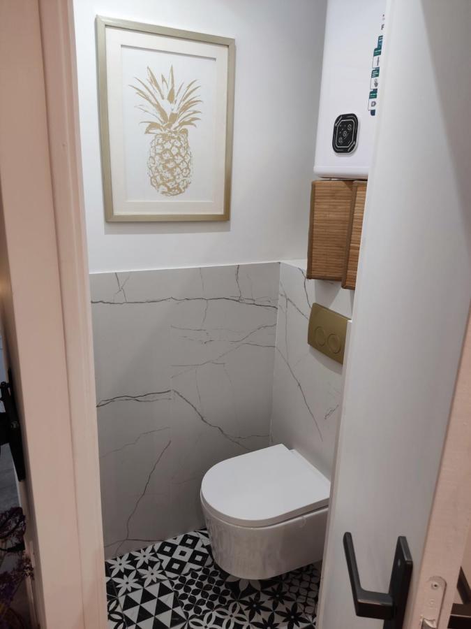 Superbe appartement avec jacuzzi avec jardin privé Lyon Extérieur photo
