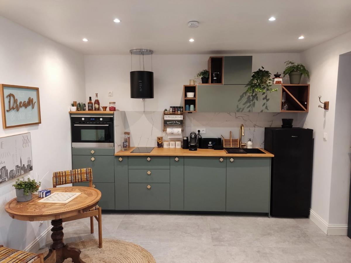 Superbe appartement avec jacuzzi avec jardin privé Lyon Extérieur photo